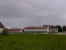 sl-01.jpg