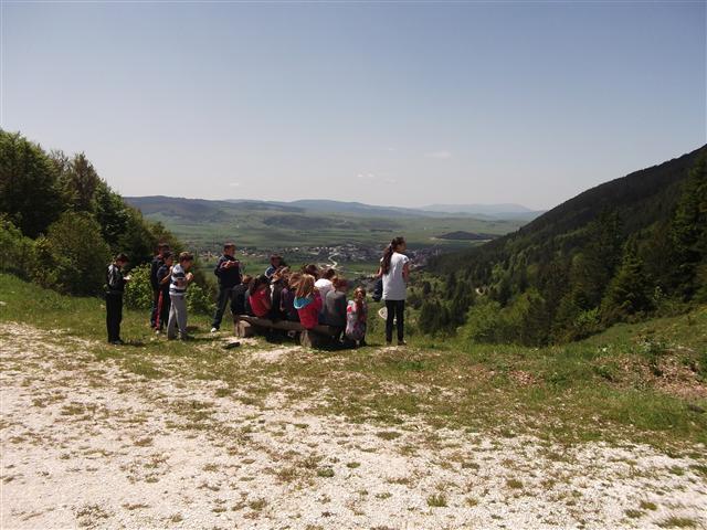 sl-07.jpg